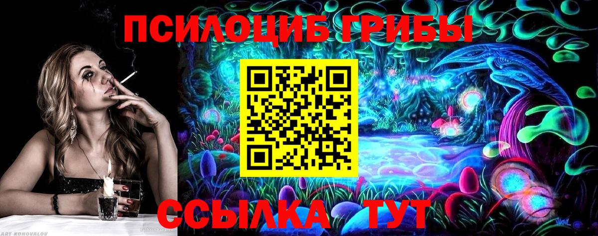 Кандалакша  купить наркотики цена  Вход с VPN  Псилоцибиновые грибы Magic Shrooms 