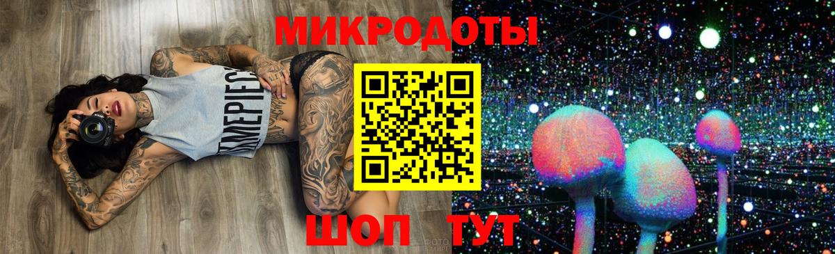 Псилоцибиновые грибы мицелий Кандалакша